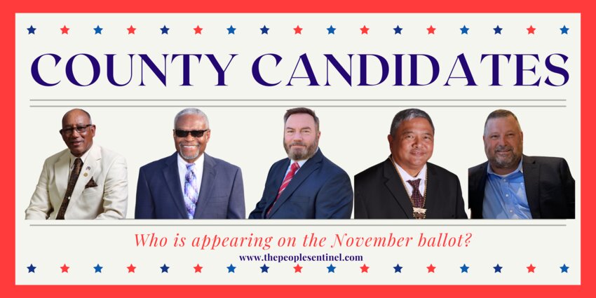 Five candidates will appear on the November ballot. Out of the four open seats, only District 3 has two candidates vying for the seat.