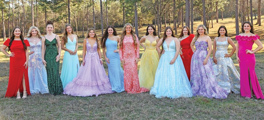 The Ladies in Waiting for the 82nd annual Dogwood Festival have been selected. They are, pictured, left-to-right:  Sarah DeCorte, Addison Carraway, Avery Tibbetts, Kyli Handley, Rali Chapman, Abby Grimes, River Squier, Lillian Ballesteros, Emma Byrd, Danielle PIttman, Taylor Greer, Kolbi Hutto, and Olivia Meredith. Not PIctured:  Alyssa Johanson. 
PHOTO COURTESY OF DOGWOOD FESTIVAL PUBLICITY COMMITTEE