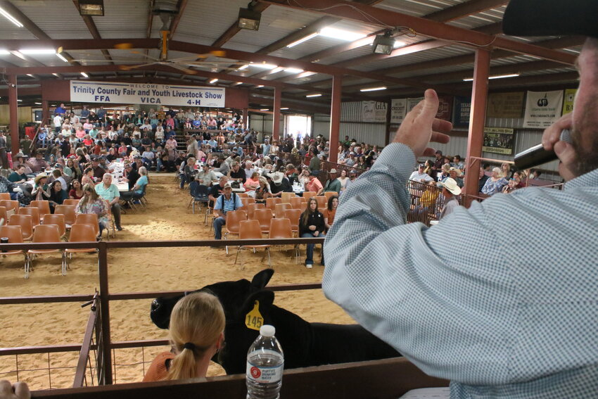 The Youth Livestock Sale opens with the sale of Laney Peterson’s Grand Champion Steer, which went for $7,100 to Wiesner of Huntsville.