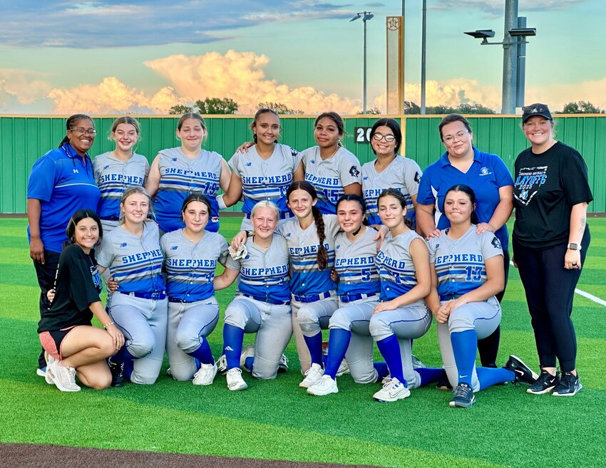The Shepherd Lady Pirates lost in the area round of the softball playoffs.