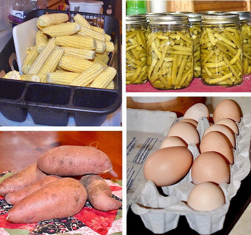 Examples of homegrown produce from late harvest &mdash; beans, corn and sweet potatoes &mdash; as well as a contribution from our chickens.