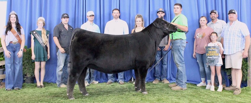 DRI ROSE Annie Lu K237 won grand champion owned female at the 2023 Missouri Junior Angus Preview Show at the Missouri Cattlemen's Association All-Breeds Show, June 10 in Sedalia. Blake Freeman, Koshkonong, holding the reins, owns the April 2022 daughter of Colburn Primo 5153. She first claimed junior champion. Randy Mullinix, Toulan, Ill., evaluated the 113 entries.