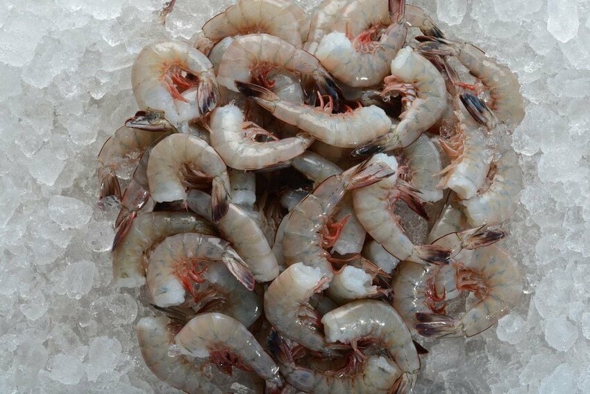 Shrimp Runner, headless shrimp.