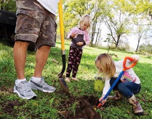 The Missouri Department of Conservation invites Missourians to celebrate the value of Missouri trees and forests during Arbor Days in April by planting native trees and practicing proper tree care.