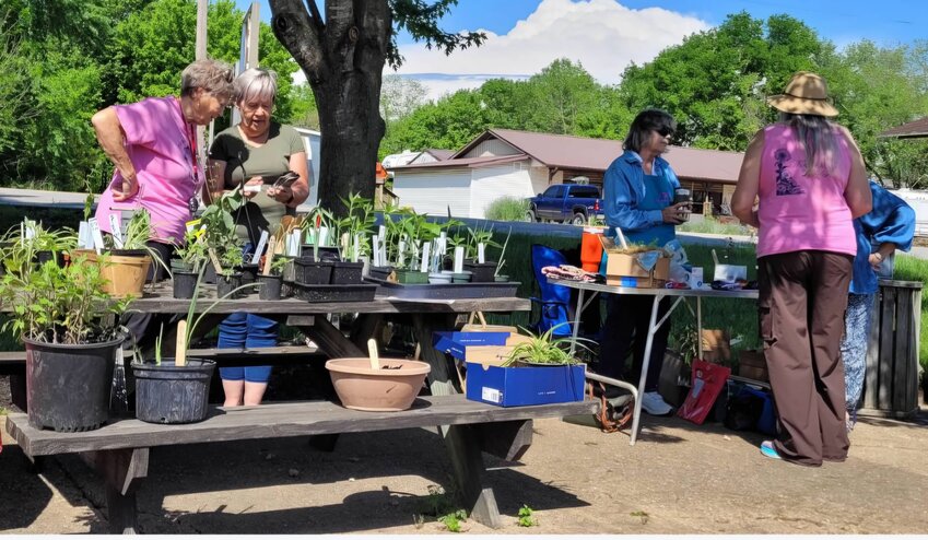 The Mtn. View Garden Club is holding its annual Spring Plant and Bake Sale from 9 a.m. to noon May 3 at What Park, at the corner of First Street and Pine Street in Mtn. View. All of these plants are from the home gardens of the club members. &ldquo;We appreciate your support, as these plant sales are our only form of fundraising throughout the year,&rdquo; said member Robi Tanner. The Mtn. View Garden Club is a member of the Federated Garden Clubs of Missouri, the Central Region Garden Clubs and the National Garden Clubs. Visit the Facebook page @mvgc.mountainviewmo to see pictures of club events.