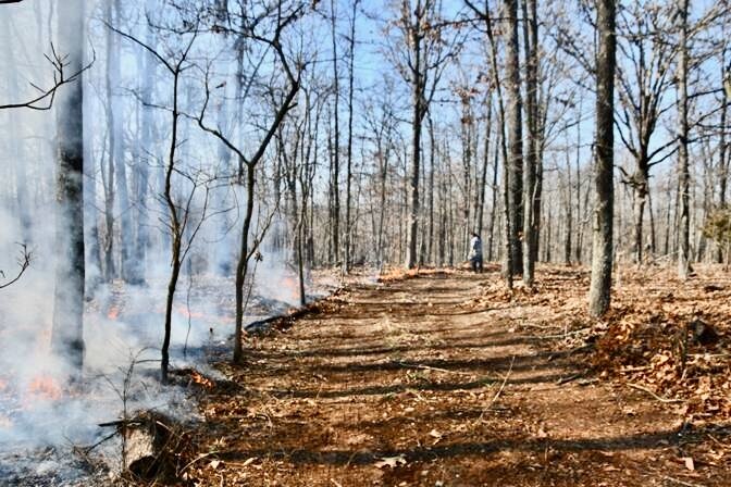 A helper uses a drip torch to start the burn during a prescribed fire in February 2024 on a PBA member’s property in northern Howell County. Beforehand, the landowner had blown away leaves from the road, leaving bare ground, which created a fire break.