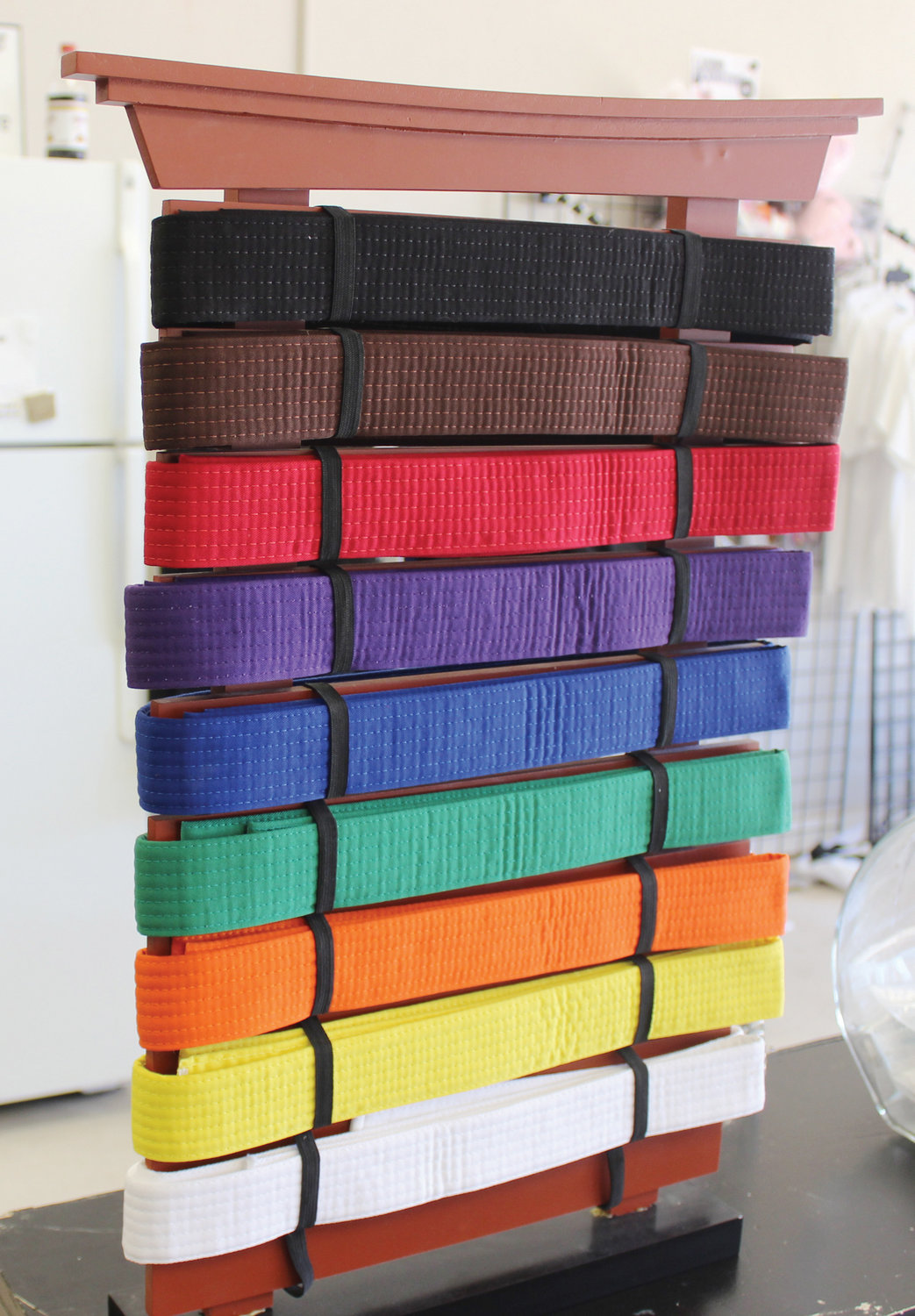 Nine colored belts are prominently displayed at Jimboy’s Fighting Arts Academy, motivating martial arts students.