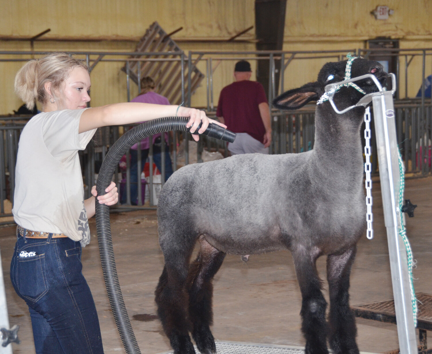 Getting ready for the big show at last week’s McClain County Free Fair.