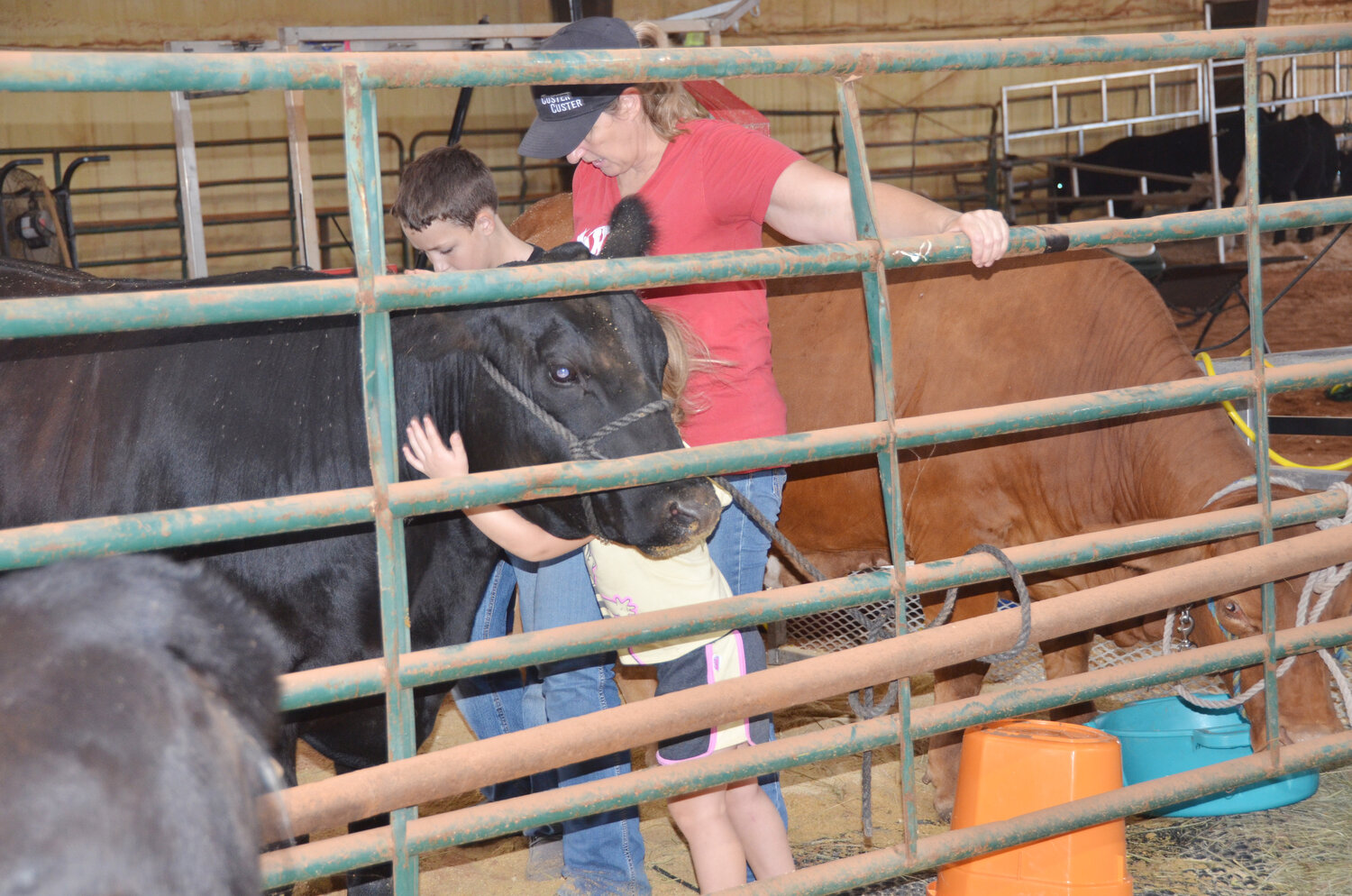 4-H and FFA students meticulously prepare their animals for showing last Friday morning during the annual McClain County Fair at the county fairgrounds.