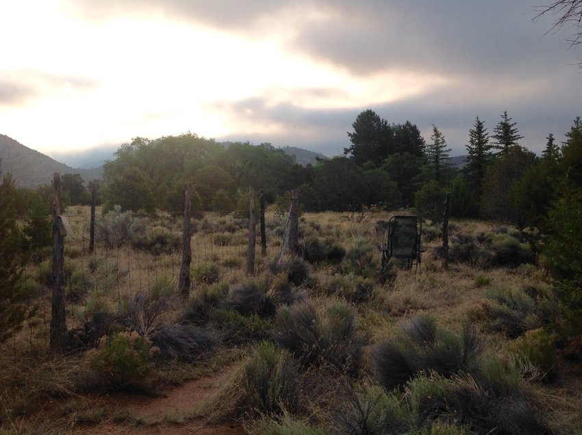 First morning in Sante Fe, in the backyard of my friend’s house, setting an intention for the vision quest.