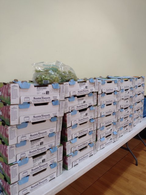 Donated fruit will be sorted into Thanksgiving boxes.