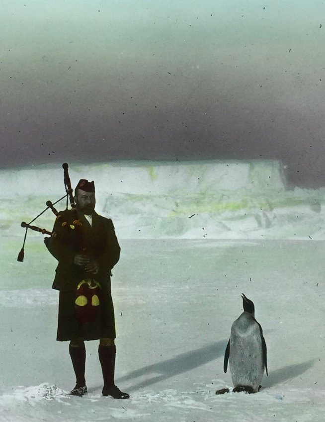 One of Dr. Frederick Cook’s polar journeys introduced penguins to the sounds humans can make with a set of bagpipes.