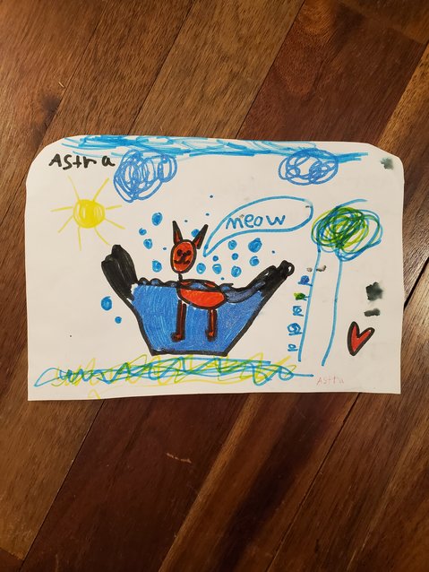 The cat's enjoying a bath in this published drawing by Lackawaxen resident Astra Parsons-Pudder.