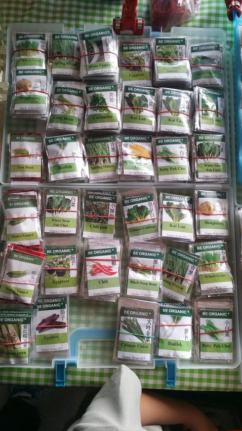 It’s fun to shop for seeds when planning your garden.
