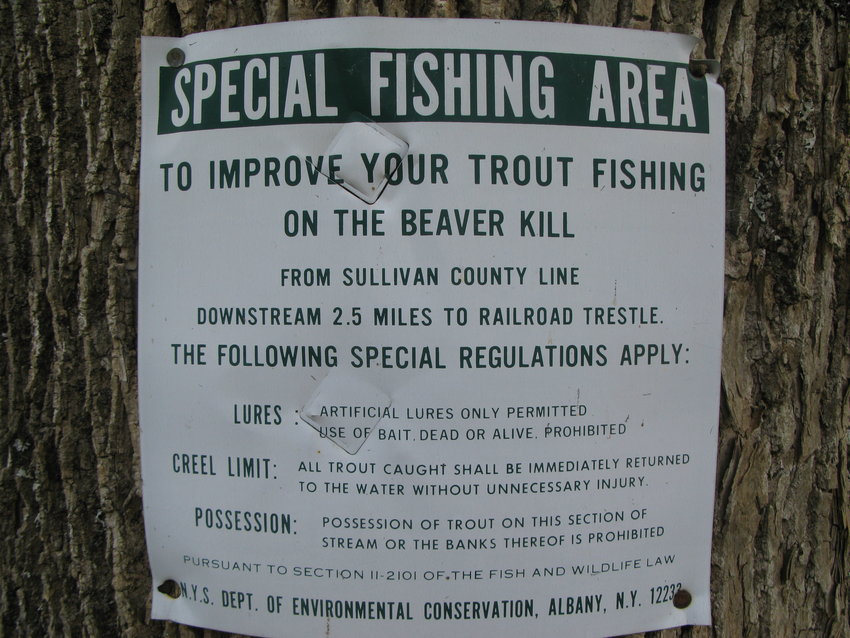 Special fishing regulations limit harvest and provide excellent angling opportunities on some Catskill rivers, like the Beaver Kill.