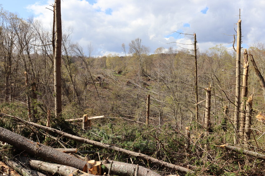 A hillside stripped of trees following the tornado of April 22. 