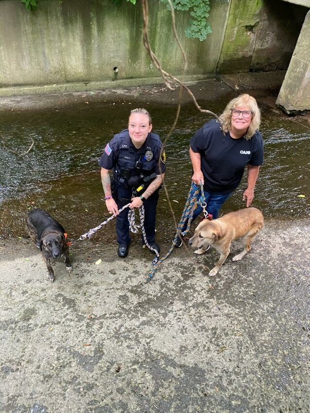 The trapped dogs are now safe thanks to the help of the Liberty Police Department.