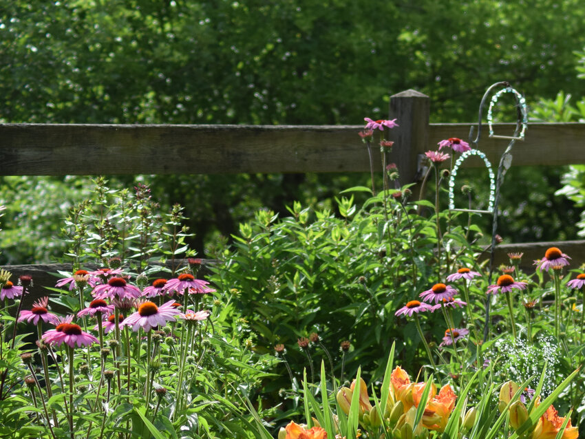 A splash of color against a fence. This garden was part of the 2022 tour in Wayne County, PA.