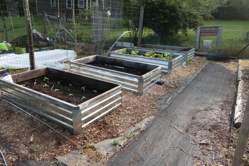 Raised beds with well-defined paths inbetween eliminates tilling and keeps the weed seeds under control.