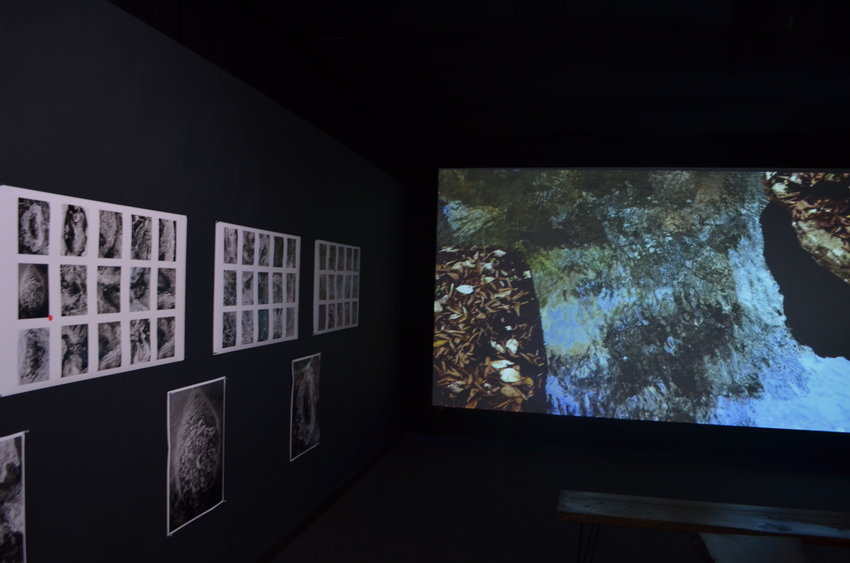 &quot;Where I Live&quot; examines the streams and woods of Marritz's property, with a slow-motion video loop and black-and-white photos of water and ice.