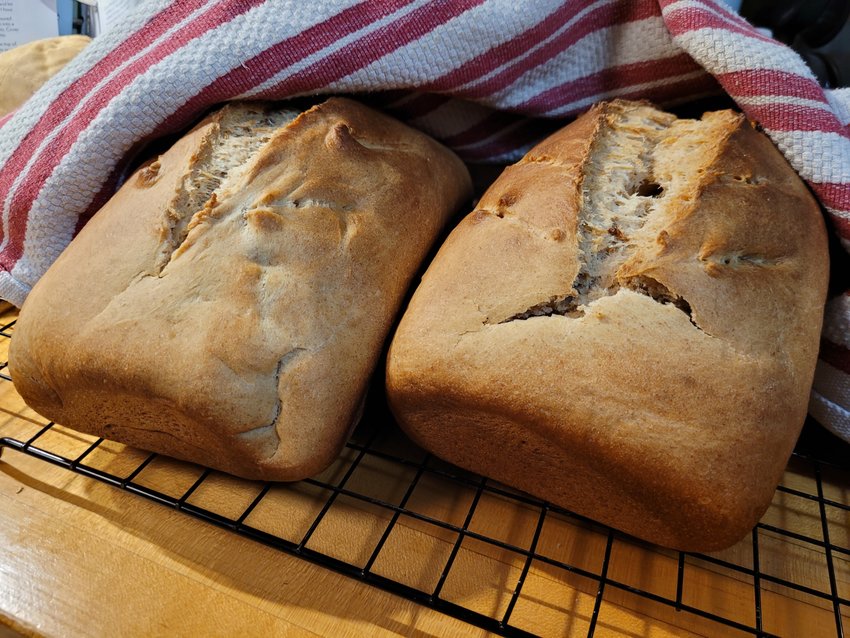 Nothing makes the house smell so good as a fresh-baked loaf of bread.