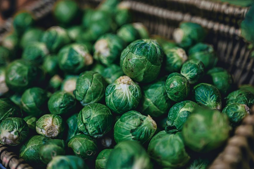 Do not mock the humble sprout. Treated well, it will give you a delicious&mdash;and nutritious&mdash;side.