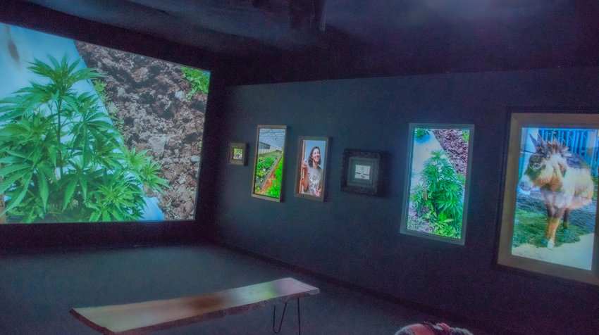 &quot;Why Eye (I) Farm&rdquo; is composed of nine five-minute audio presentations, with interviews conducted by Rosie Starr and enhanced by 300 of Woody Goldberg&rsquo;s photographs,  which play across large and small screens lining the walls.