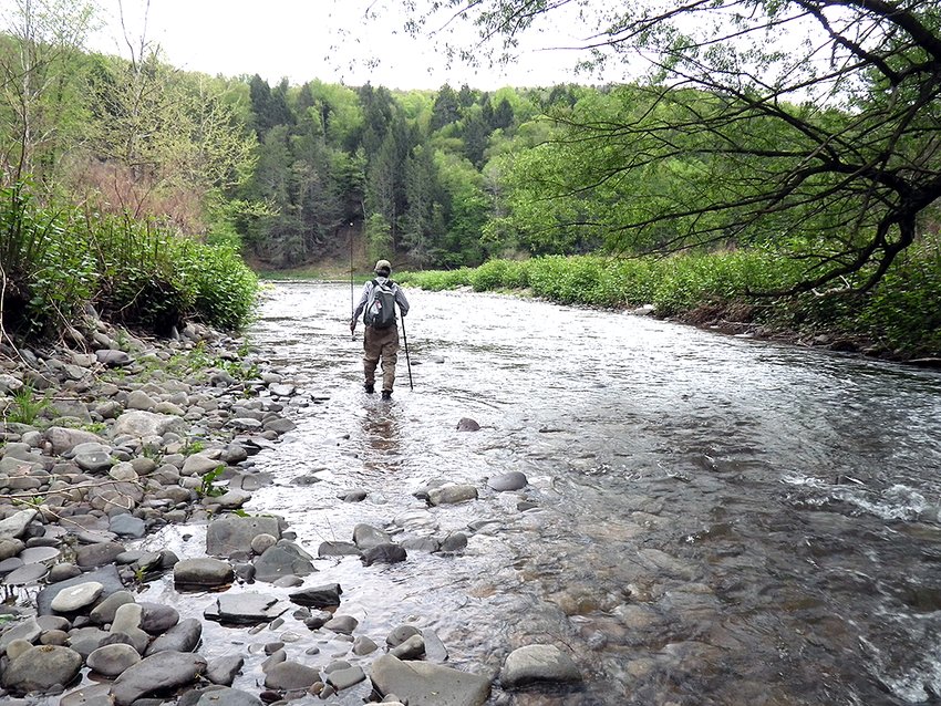 The Red Barn Campground is gone, but you can still wade down The Delaware River tributaries, like Hankins Creek pictured here, are a perfect habitat for native trout species.