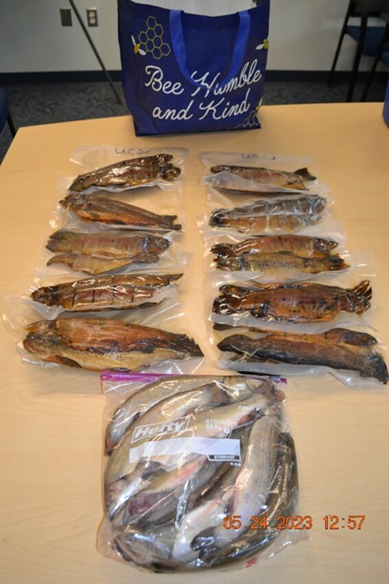 Trout recovered in an undercover operation in Deerpark, NY.