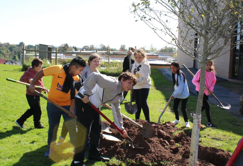 Planting trees &ldquo;was really fun, and I want to see them grow,&quot; said sixth grader Conner Baum. &ldquo;It was fun because we..will be a part of the school when we graduate.&rdquo;