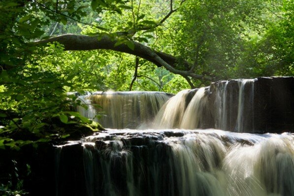 This stunning waterfall was one of the winning photographs in the Twin and Walker Creeks Watershed Conservancy photo contest. The contest showcases the beauty of Pike County.