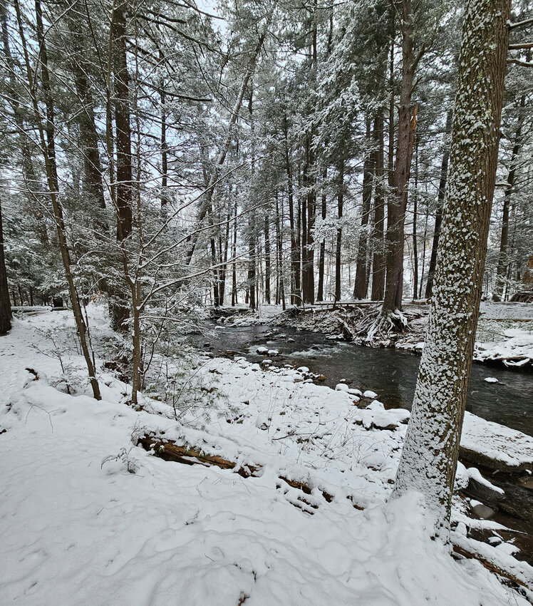 ..This is the Sawkill Creek, taken upstream of the Mott Street Bridge on Glen Trail within the Delaware Water Gap National Recreation Area. Fresh snow still covers the trees and branches. This is part of a short-loop trail that takes 15 minutes or so to hike. At the upstream end of this trail is a trail that cuts to the left and leads up to the top of High Knob, which offers a good view of Milford and surrounding countryside...