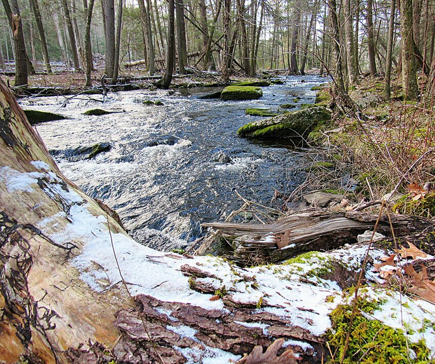 The Sawkill Creek is connected to the Milford Aquifer. For a full description of the aquifer and how it flows from its sources, visit bit.ly/3IqRk1g.