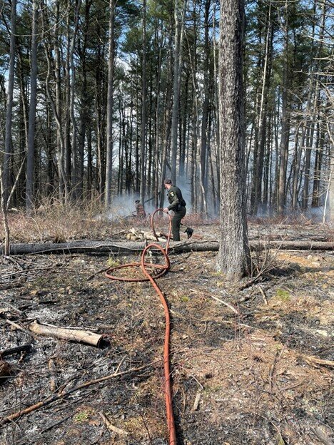 Firefighters extinguish a brush fire in Greene County.