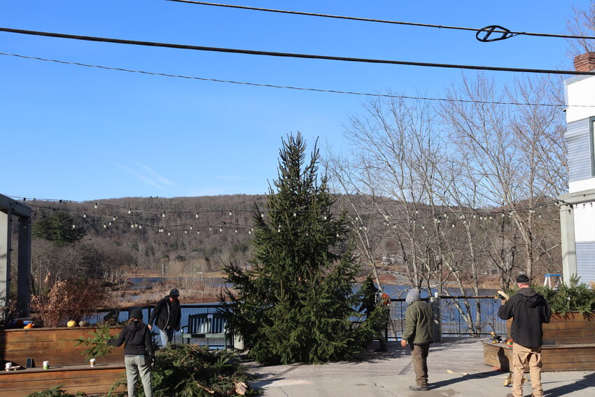 Narrowsburg's tree freshly up on Main St. on November 25, 2024.