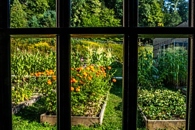 The renewed garden at the Wayne County Correctional Facility took off in time for the growing season and has been thriving.