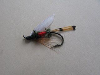 A Royal Coachman wet fly, like the one that caught my first trout.