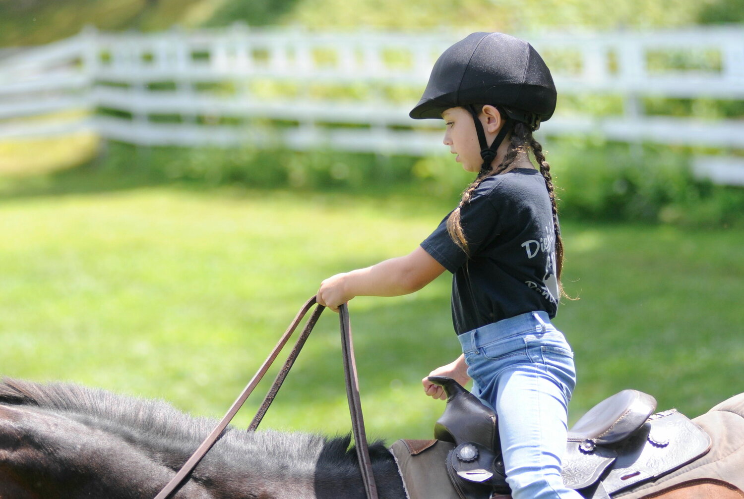 Horsin’ around with a Sullivan County 4-H Club - The River Reporter