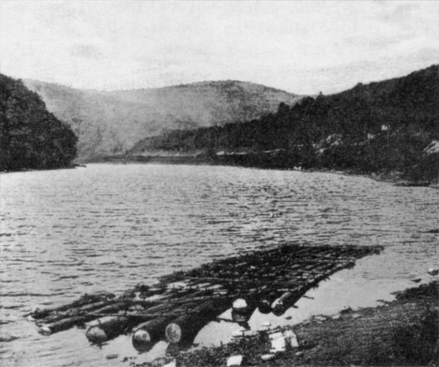 Timber and trout - The River Reporter