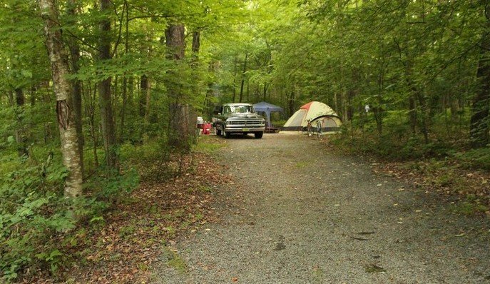 This tent campsite is one of 67 sites located at the Little Pond Campground located in the Catskill Forest Preserve.
