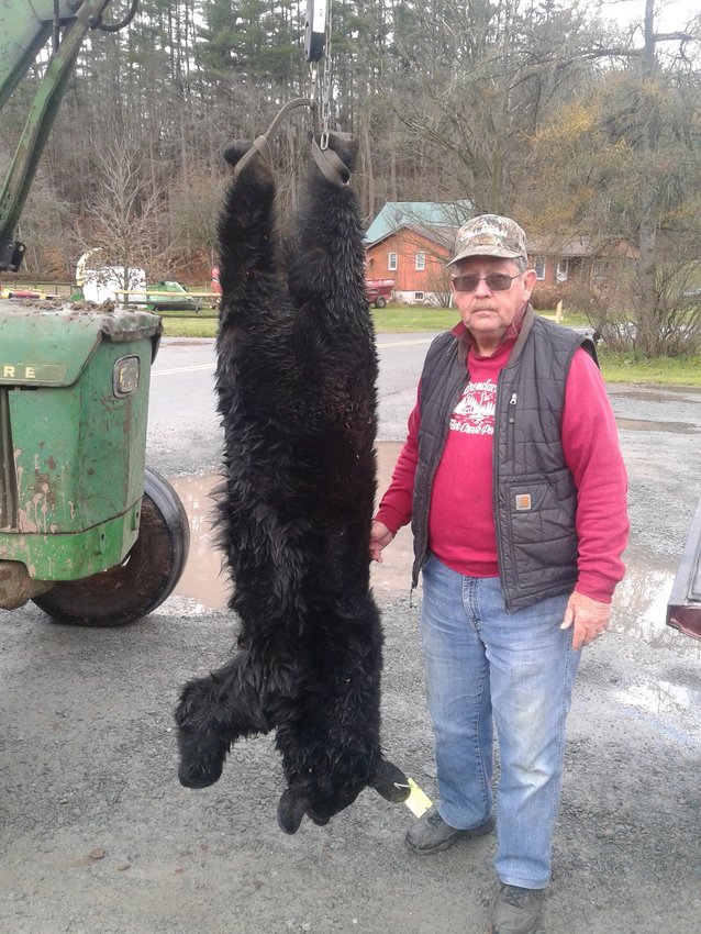 Harry Edwards of Liberty harvested a 133.8 pound bear in the Town of Neversink on November 20 on the opening day of Big Game Rifle Season.