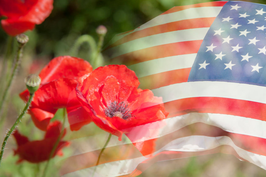 The Ladies Auxiliary of the American Legion will be at Pecks Market in Eldred on Friday May 27th and Saturday May 28th  from 9-3pm with Veterans Poppies. According to Martha Worzel of the Auxiliary  donations from the poppies will be used to help the veterans at the Castle  Hill Veterans Hospital and Nursing Home. Pick up your poppy and wear it proudly!