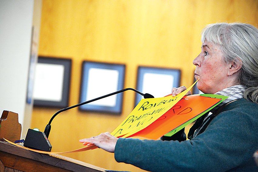 Hurleyville resident Ann Finneran used a number of signs to express her opposition to the proposed Hughes Energy R&amp;D operation at the County Landfill.