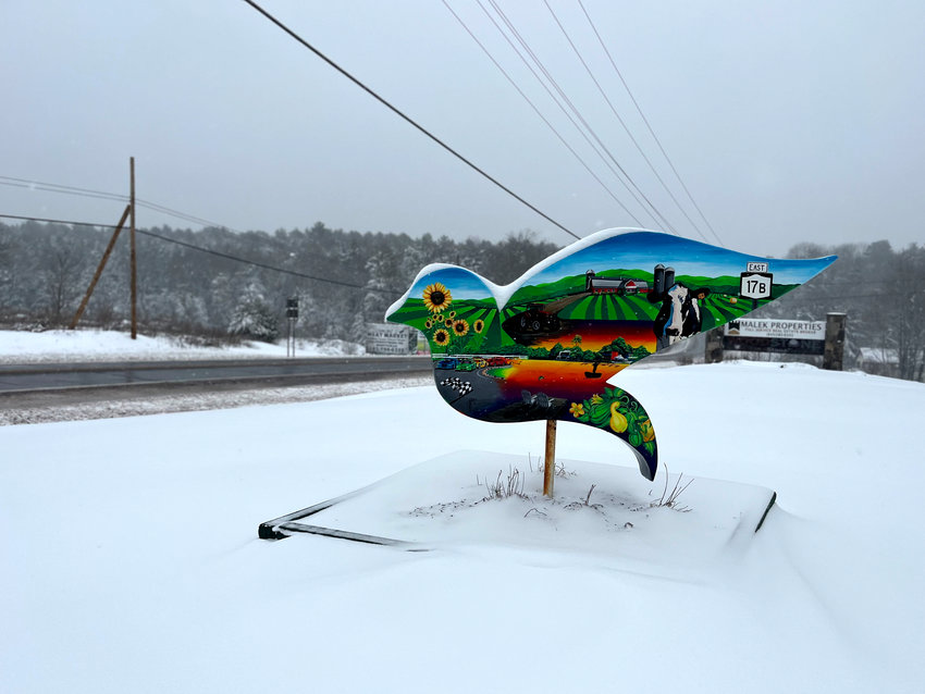 This piece of the Sullivan Catskills Visitors Association Dove Trail on State Route 17B after the storm.