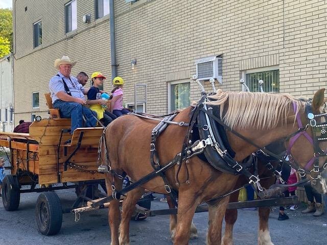 A horse and buggy pulling jamboree attendees.