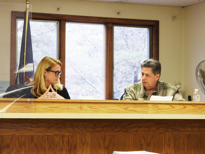 Town Board members Susan Parks-Landis and Steve Budofsky, along with their fellow board members, are expected to submit their thoughts on the proposed adjustments to the Town Code individually, setting the scene for group discussion next month.