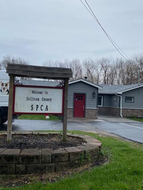 Local Dog Control Officers will be able to temporarily house up to five lost and abandoned dogs with access to the SPCA&rsquo;s facilities.