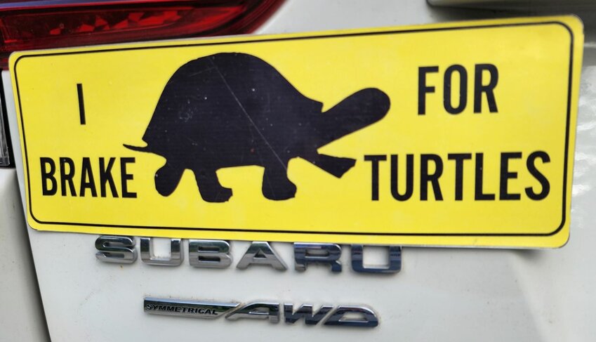 An &ldquo;I brake for turtles&rdquo; car sticker.