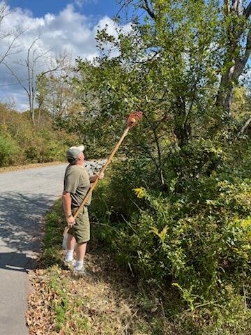 Me picking apples.