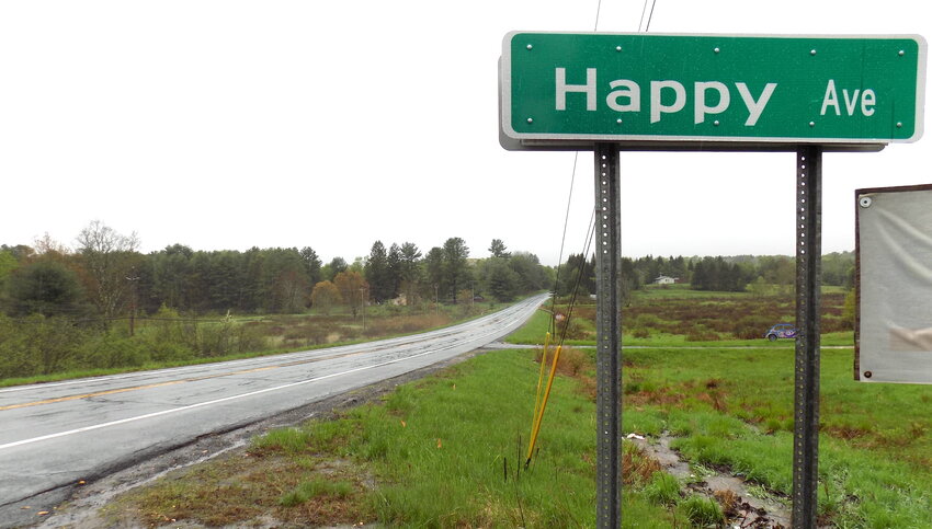 An early morning collision on 17B on May 8 near Happy Avenue in Bethel resulted in the death of a pedestrian.